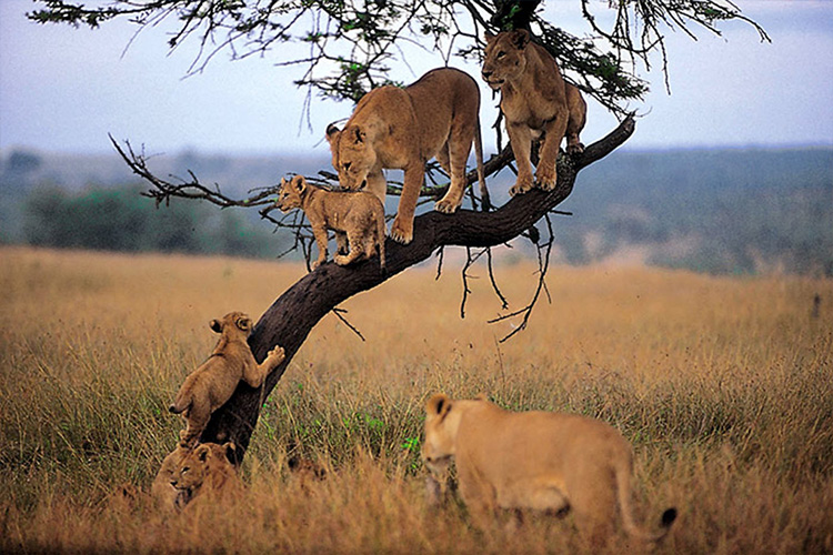namibia-tour-6