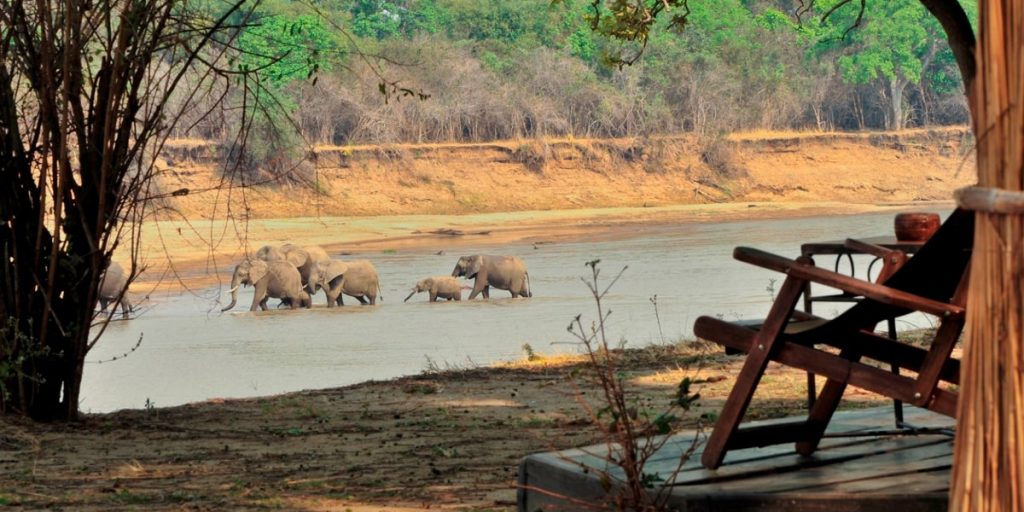 Zambia-safari-Africa