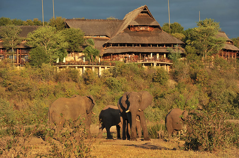 Day 16 Vicfalls-safari-lodge-min