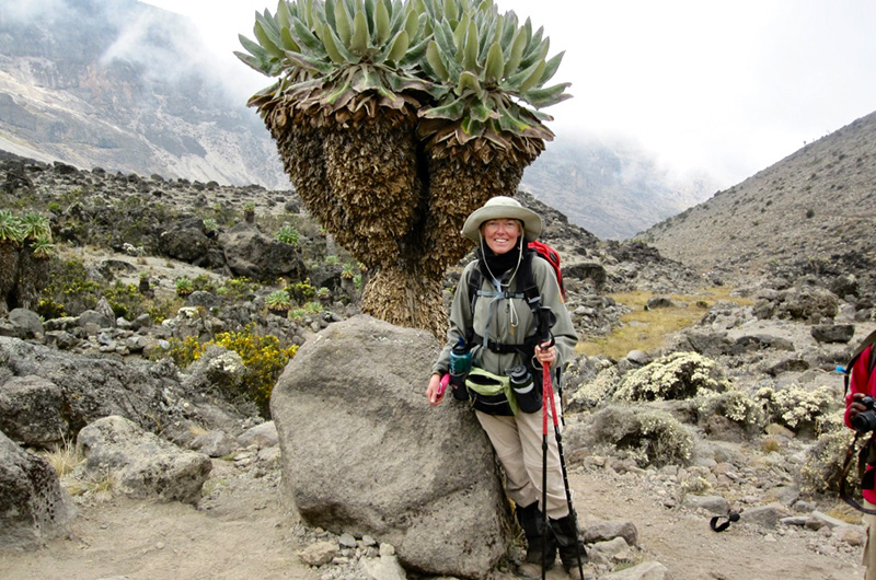Day 6 Kilimanjaro-2