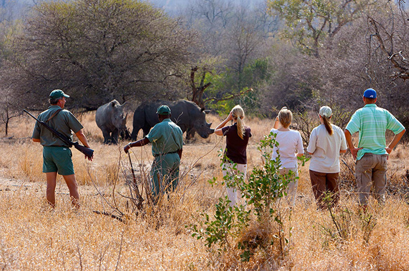 Day 6 south-africa-tour7-3