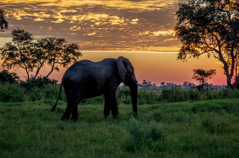 Day 7 okavango_river_5