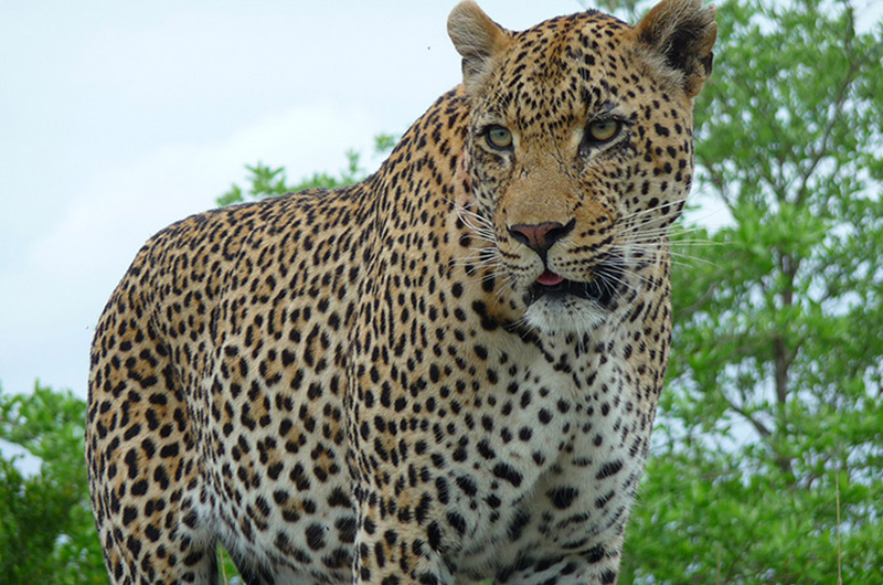 Day 7 south-africa-tour9-2
