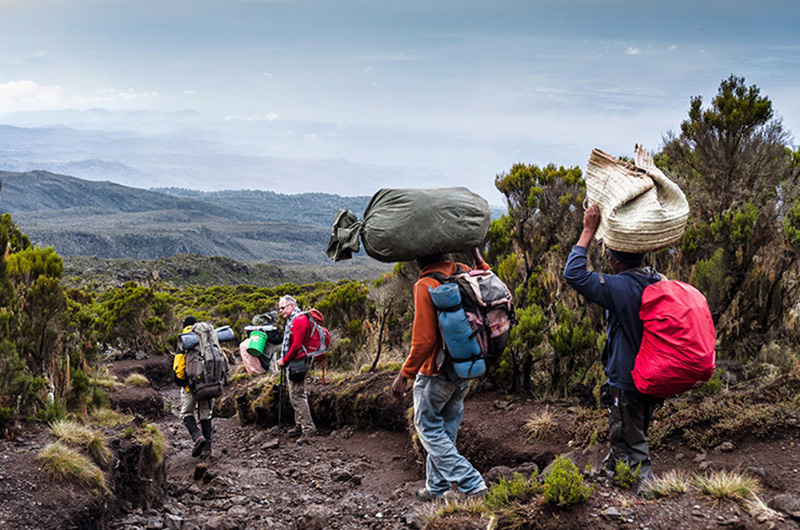 Day 8 kilimanjaro-tour-7