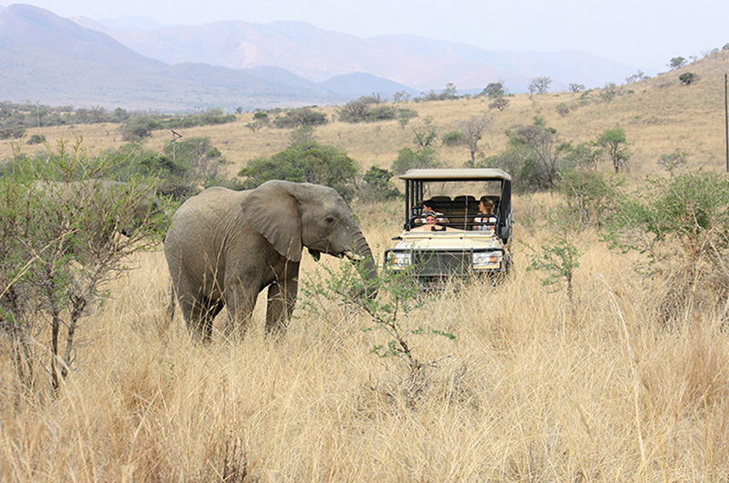 Day 9 south-africa-tour3-8