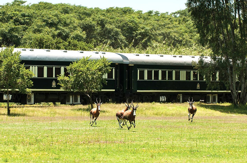 Header Rovos-Rail-min