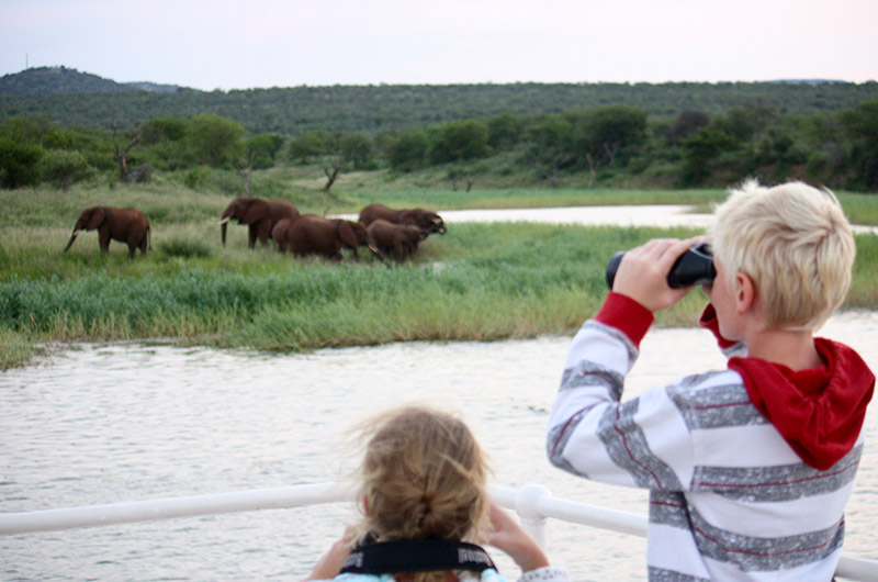 Kids on safari - feauture image