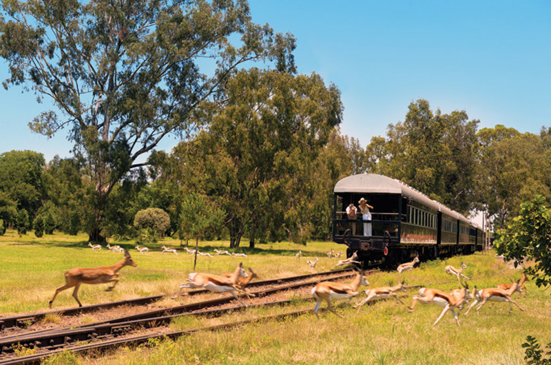 Rovos rail - featured